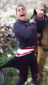 dyr1f_1425621974_6537.jpg dyr1f_1425621974_6537.jpg