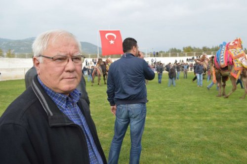 Edremit’te Develer Kaçtı, Sahipleri Kovaladı