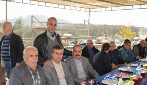 Edremit’te Develer Kaçtı, Sahipleri Kovaladı