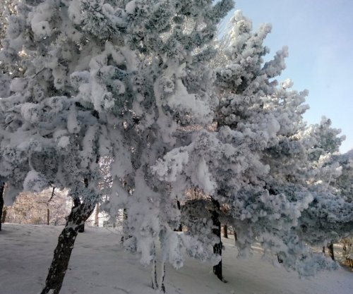 Erzurum’dan Muhteşem Kar Manzaraları