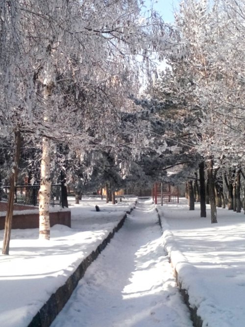 Erzurum’dan Muhteşem Kar Manzaraları