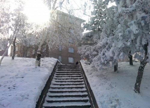 Erzurum’dan Muhteşem Kar Manzaraları