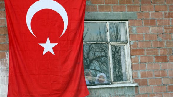 f_8561.jpeg f_8561.jpeg