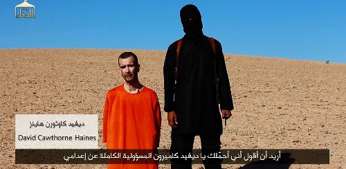 fft16_mf4773027.jpeg fft16_mf4773027.jpeg