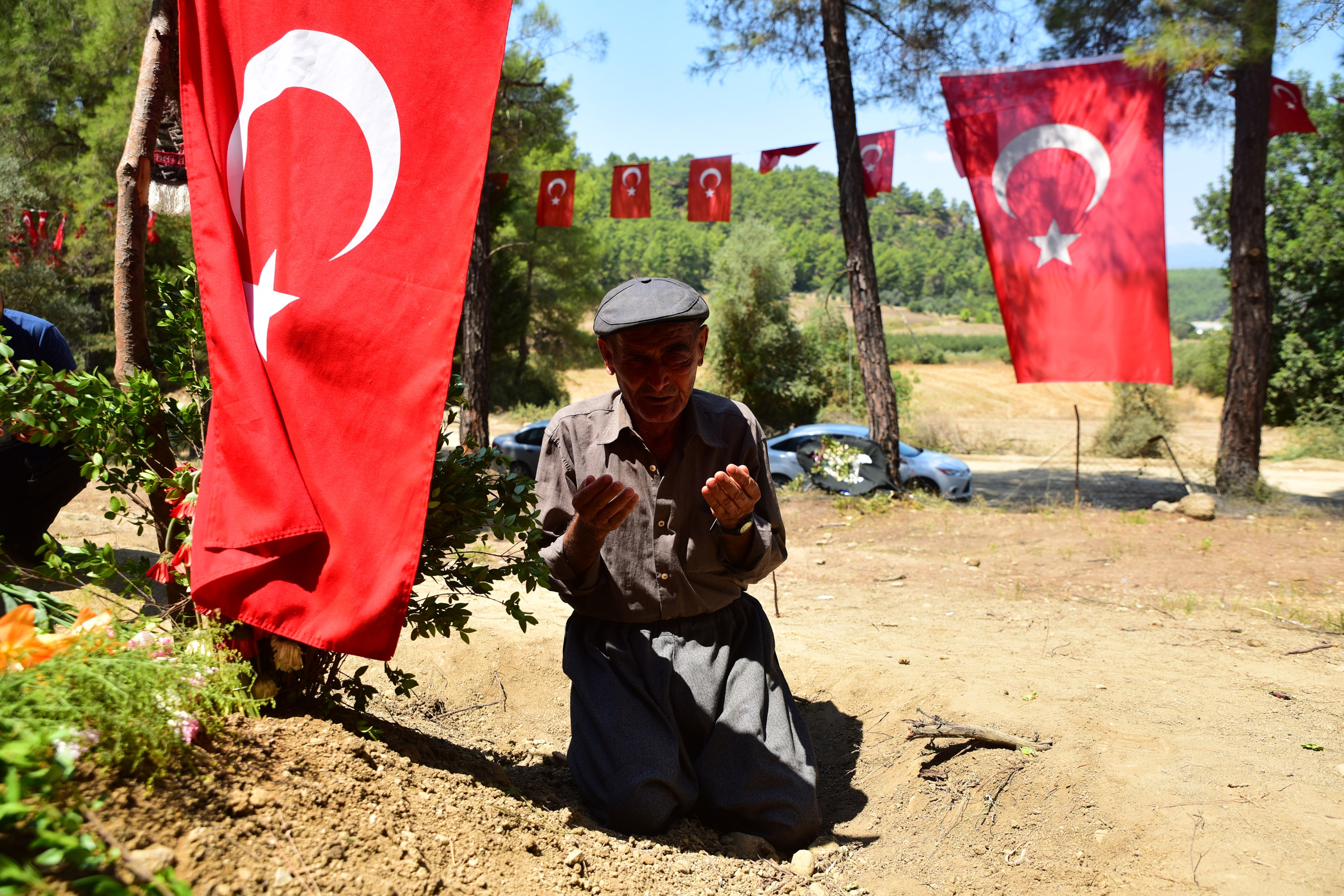 fft31_mf7155723.jpeg fft31_mf7155723.jpeg