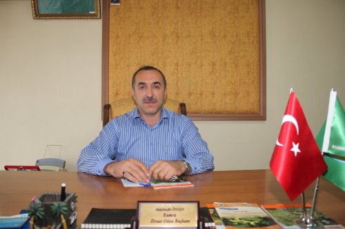 Fındık Üreticilerine Önemli Uyarı