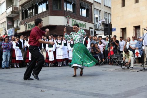 Fıstık Festivali Başladı