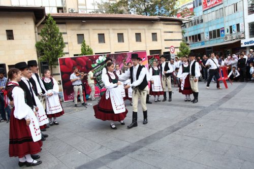 Fıstık Festivali Başladı