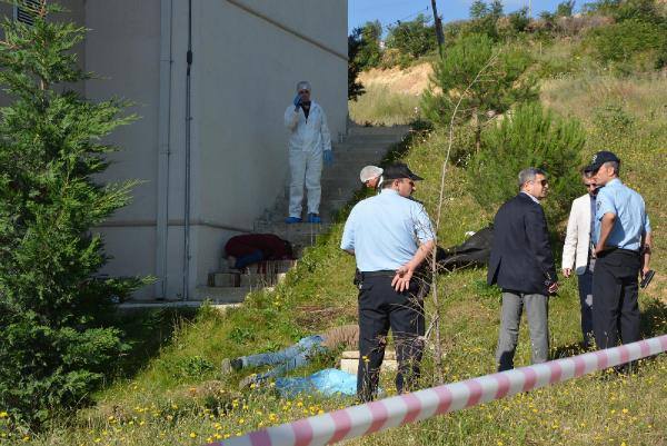 gtysz_1436174298_5121.jpg gtysz_1436174298_5121.jpg