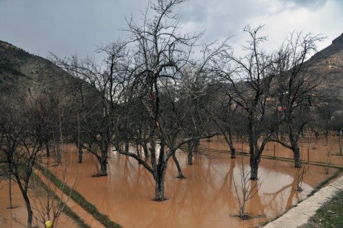 Gümüşhane’deki Şiddetli Yağış