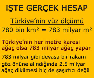 hesap_1678.jpg