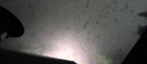 Hortumun içinde Dehşet Anları