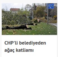 hurriyet-agac.jpg