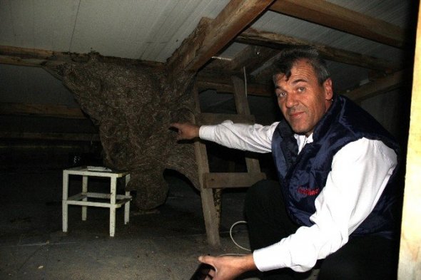 iha-20161028aw885393-3-t.jpg iha-20161028aw885393-3-t.jpg