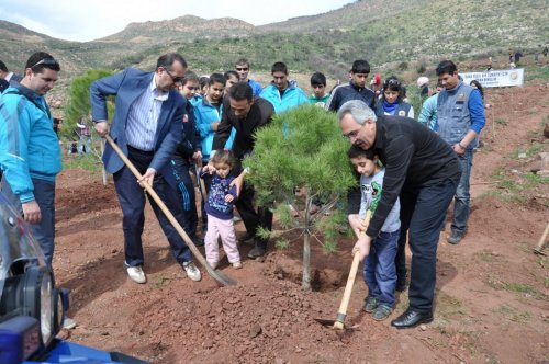 iki yıl önce yanan alana 1 milyon fidan dikildi