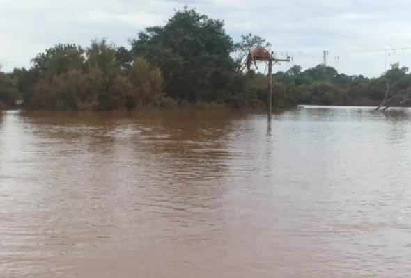 inek2_6092.jpg inek2_6092.jpg