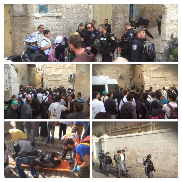 isgal2-001.jpg isgal2-001.jpg