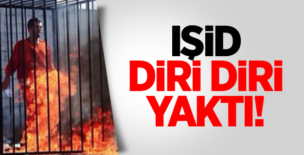 isid-002.jpg