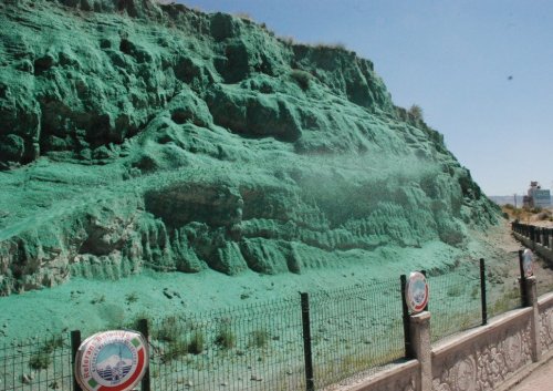 İstinat Duvarları Bitkilerle Kaplanıyor
