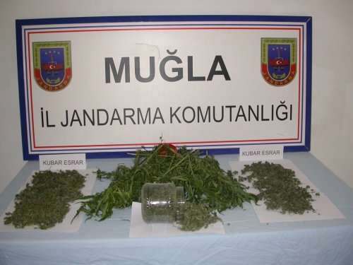 Jandarma’dan Esrar Operasyonu