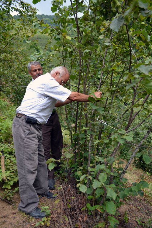 Karadenizli Bunu Da Yaptı