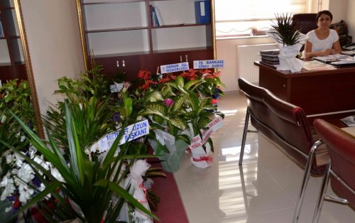 Kaymakamlık Çiçek Bahçesi Oldu