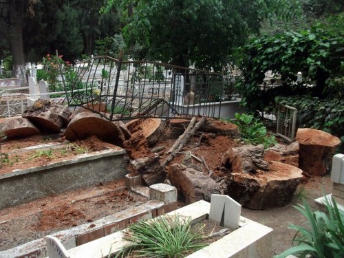 Kesilen Ağaçlar Onlarca Mezara Zarar Verdi