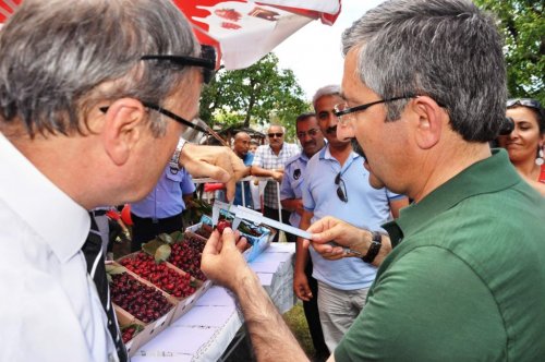 Kirazlar Birincilik İçin Yarıştı