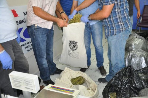 Kırıkkale’de 100 Kilo Esrar Ele Geçirildi