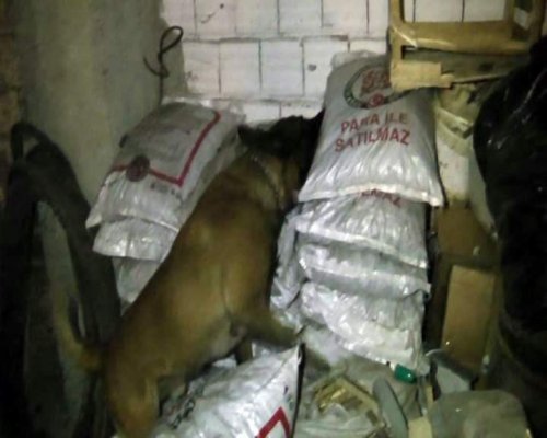 Kömür Arasında Uyuşturucu