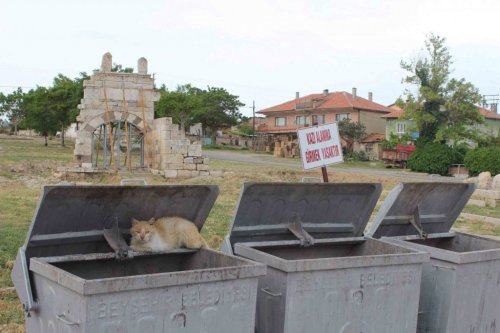 Konya’da Şiddetli Fırtına