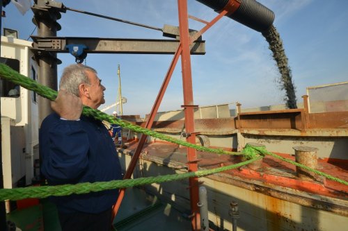 Körfez’in Kumu “Altın” Gibi