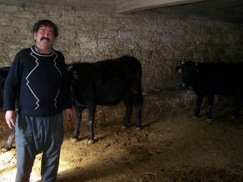 Korkuteli'de Besiciler Umutlu
