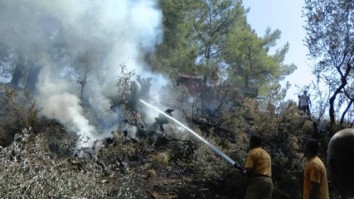Köylüler Yanan Arazileri İçin Seferber Oldu