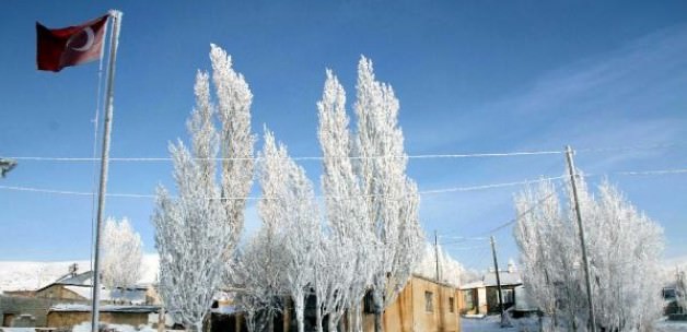 ktpaz_1419771382_0897.jpg
