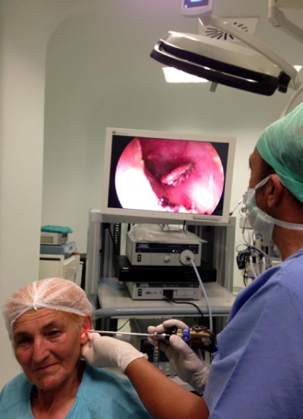 kulak-ari2-kene-sadecehaber.jpg kulak-ari2-kene-sadecehaber.jpg