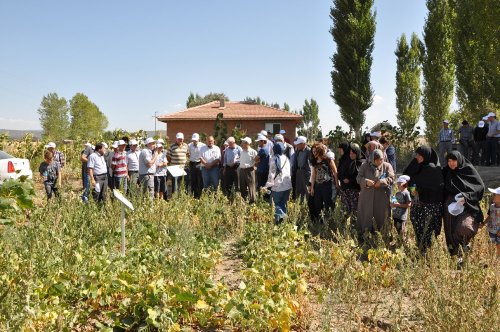 Kuru Fasulye İçin ‘Tarla Günü’