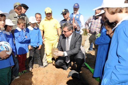 Kütahya'da 'Ceviz' Seferberliği