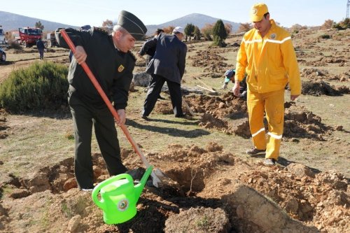 Kütahya'da 'Ceviz' Seferberliği