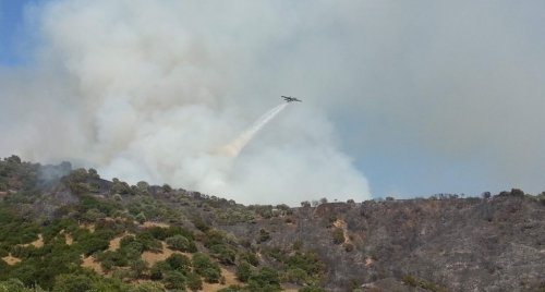Kuyucak’taki Orman Yangınına Müdahale Sürüyor