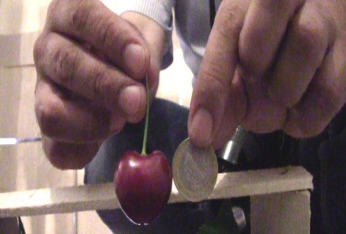 Lapseki Kirazı İhracatın Gözdesi Oldu