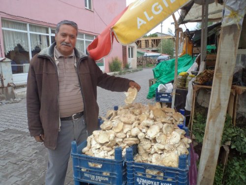 Mantar Fiyatları Kırmızı Eti Geçti