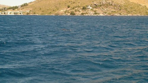 Marmaris’te İkinci Badem Heyecanı