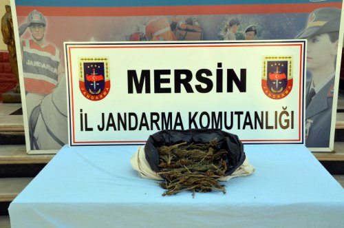 Mersin'de Uyuşturucu Ve Kaçakçılık Operasyonu