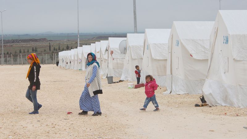 multeci_1943.jpg multeci_1943.jpg