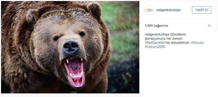 natgeoturkiye.jpg natgeoturkiye.jpg