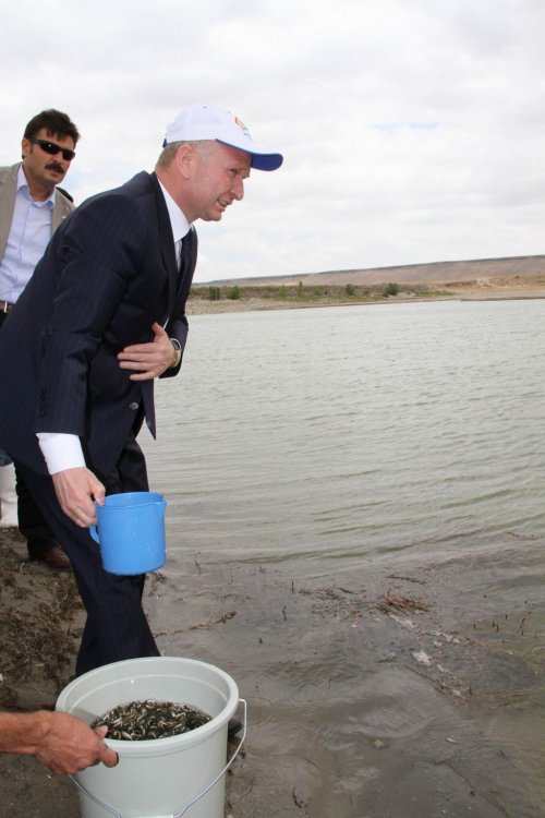 Nevşehir’de Göletlere Yavru Aynalı Sazan Bırakıldı