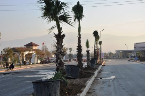 Ödemiş’in Yeni Ana Caddesi Palmiyelendi