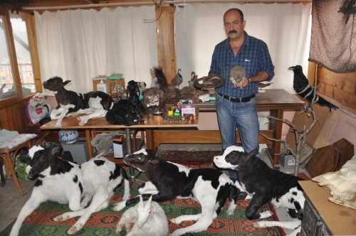 Okumadan Hoca Oldu