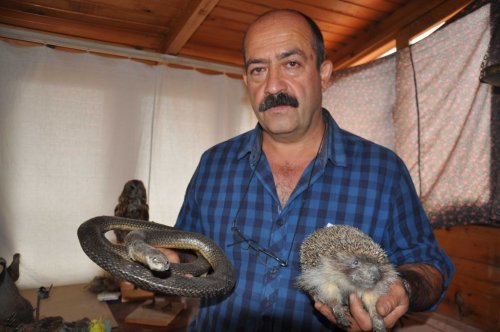 Okumadan Hoca Oldu